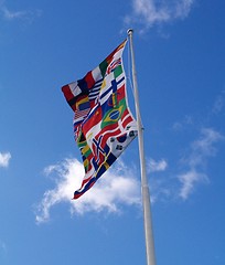 Image showing international flag