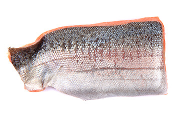 Image showing salmon fish fillet isolated