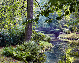 Image showing Japanese bridge in park