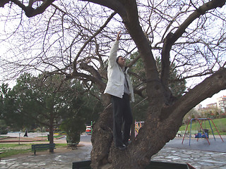 Image showing trying to climb