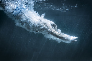 Image showing diving