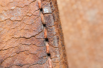 Image showing Close-up of old stiches in leather