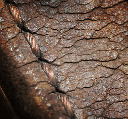Image showing Close-up of old stiches in leather