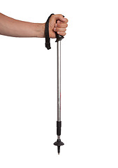 Image showing Hand and ski pole isolated