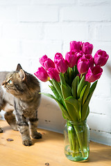 Image showing beautiful pink tulips in a vase