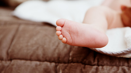 Image showing Foot of newborn baby.