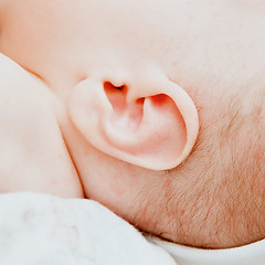 Image showing Small delicate little ear of newborn