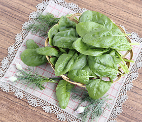 Image showing Fresh spinach leaves