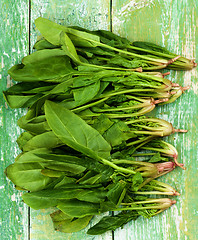 Image showing Raw Spinach Leafs