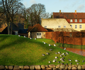 Image showing Danish Rustic Landscape