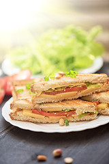 Image showing Cheese sandwich photo