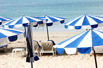 Image showing Beach umbrellas