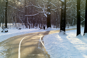 Image showing Beautiful winter forest