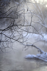 Image showing river in Russia