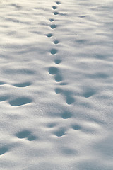 Image showing White beautiful snow