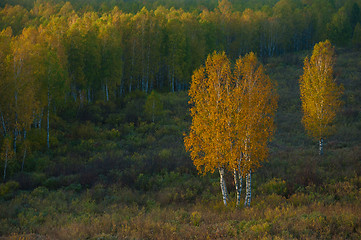 Image showing beauty autumn morning