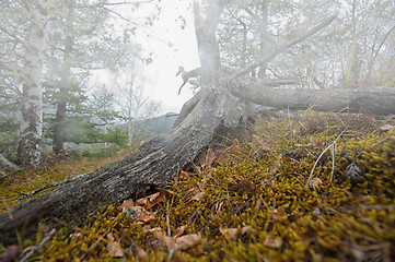 Image showing on the mountain in autumn day