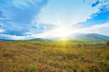 Image showing taiga and mountains