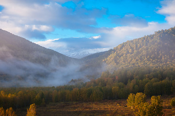 Image showing sunrise in taiga