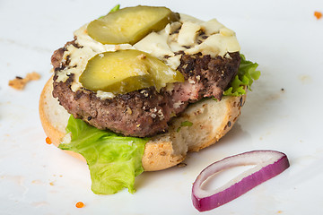 Image showing spoiled tasteless burger with roasted not Cutlets,