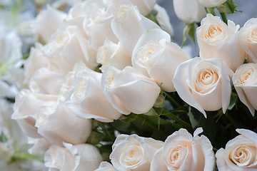 Image showing white roses as a floral background