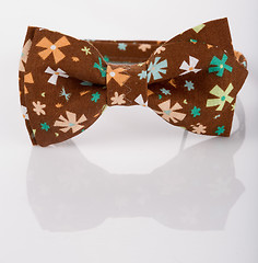 Image showing Brown bow tie on a white background. floret