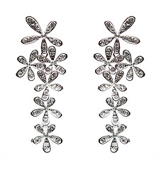 Image showing earrings with Briliant on the white