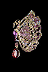 Image showing a golden butterfly gem encrusted brooch