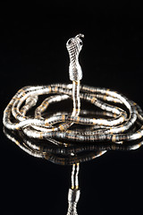Image showing golden bracelet form of snake isolated black background