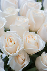 Image showing white roses as a floral background