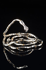 Image showing golden bracelet form of snake isolated black background