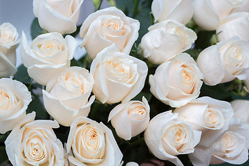 Image showing white roses as a floral background