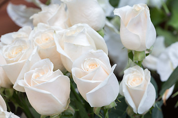 Image showing white roses as a floral background