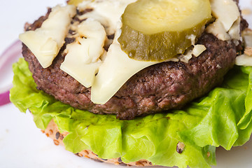 Image showing spoiled tasteless burger with roasted not Cutlets,