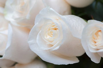 Image showing white roses as a floral background