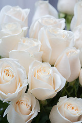 Image showing white roses as a floral background