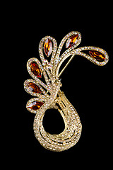 Image showing jewellery brooch isolated 