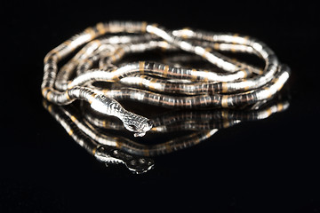 Image showing golden bracelet form of snake isolated black background