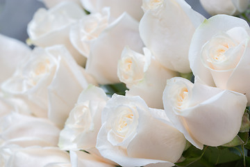 Image showing white roses as a floral background