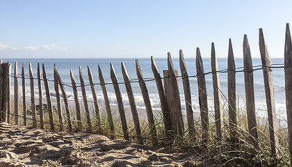 Image showing Fence on a Sand Dune