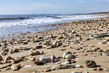 Image showing Rocky Beach