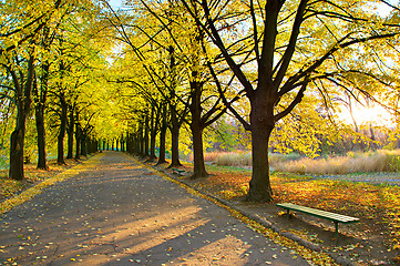 Image showing Beautiful autumn park