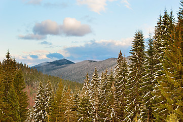 Image showing Winter Carpathians Mountains landscape