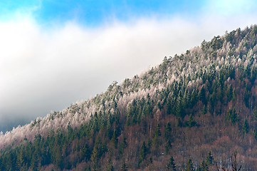 Image showing Winter mountains slope