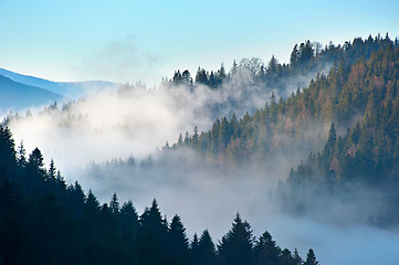Image showing Beautiful Carpathian Mountains