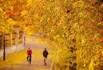 Image showing Sport activity in autumn park