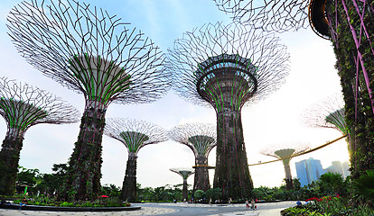 Image showing Gardens by the Bay, Singapore