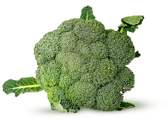 Image showing Large inflorescences of fresh broccoli with leaves top view