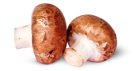 Image showing Two fresh brown mushroom beside rotated