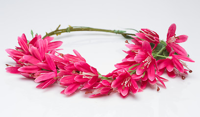 Image showing tiara of artificial  roses on a light background